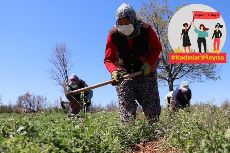 Tarım işçisi kadın: ‘Korkuyoruz ama, aç kalmasın çocuklarımız diye gidiyoruz’