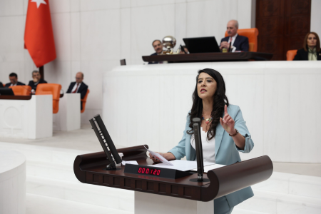 Karaca Mecliste 23 Nisan oturumunda konuştu: 'Hangi çocuğu koruyabildiniz?'