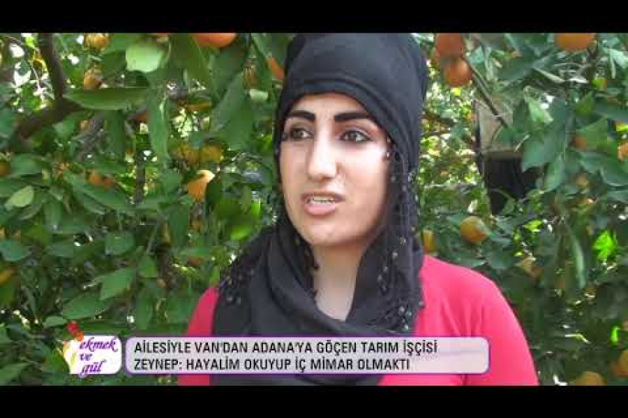 Tarım işçisi Zeynep: Hayalim iç mimar olmaktı ama...