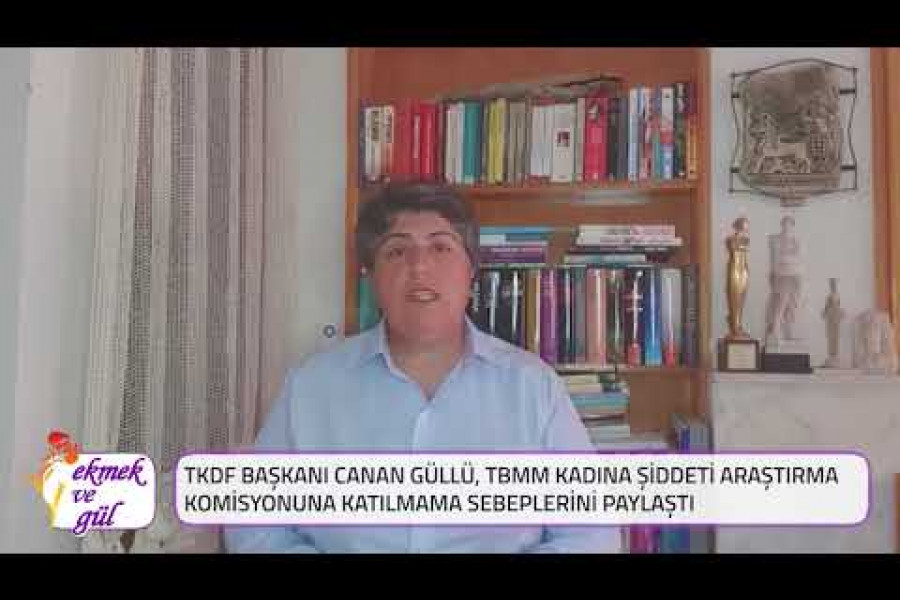 TKDF Başkanı Canan Güllü’den TBMM Kadına Şiddeti Araştırma Komisyonu’na mektup