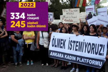 2022’nin acı tablosu: 334 kadın cinayeti, 245 şüpheli kadın ölümü