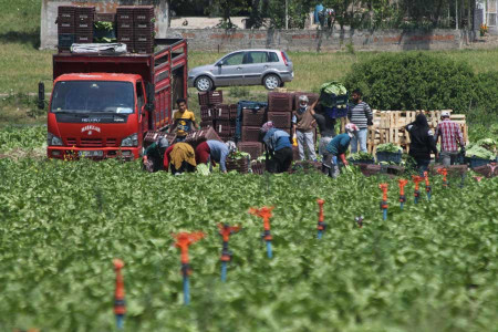 GÜNÜN DİKKATİ: Kadın istihdamının yüzde 4.5’i pandemi nedeniyle risk altında