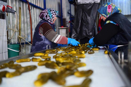 Şu asgari ücret meselesini çözebilir miyiz?