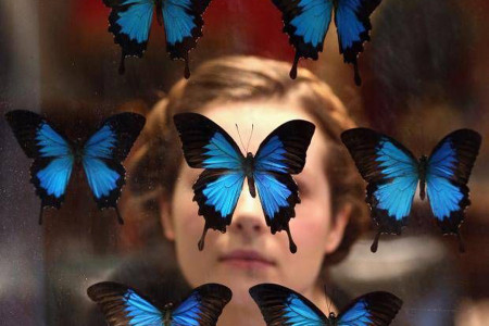 Mavi kelebeklerin izinde...