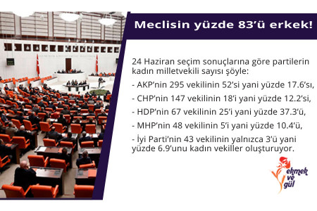 Meclisin yüzde 83’ü erkek!