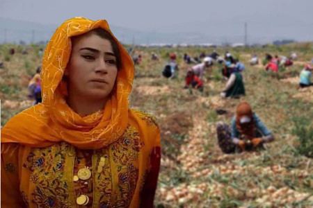 Mevsimlik tarım işçisi kadın iş cinayetinde yaşamını yitirdi