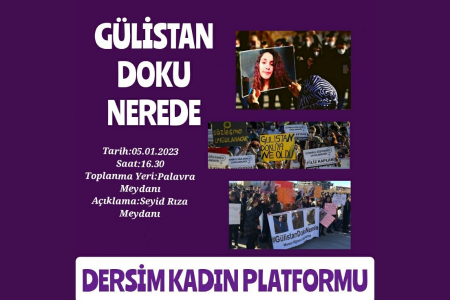 Geçen 3 yılın ardından tekrarlıyoruz: Gülistan Doku nerede?