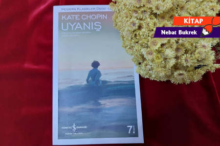 Bir kitap: Uyanış