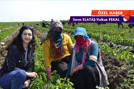 1 Mayıs’a giderken tarım işçisi kadınlar: Hayaller iptal, mesaiye devam