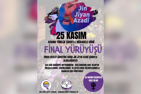 Diyarbakır'da kadınlar 25 Kasım'da şiddete karşı sokakta