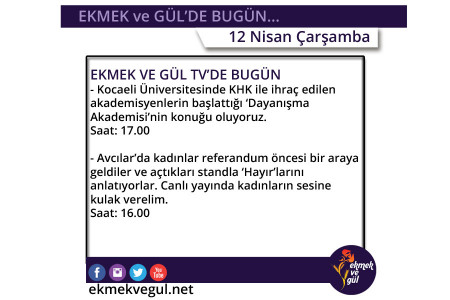 Ekmek ve Gül'de bugün