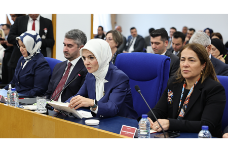 Aile Bakanlığı bütçe görüşmeleri: Tasarruf sığınmaevlerinden mi yapılıyor?