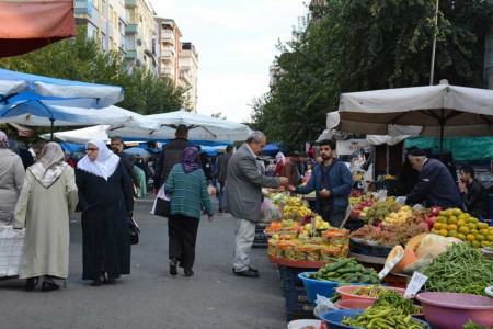 Pazara değil, ot toplamaya gidiyoruz