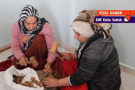 Depremin ikinci ayında Antep ve Adıyaman’dan notlar: Emekçi kadınlar umudunu kız kardeşlerinden alıyor