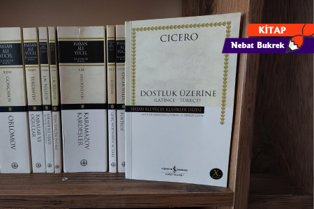 Bir kitap: Dostluk Üzerine