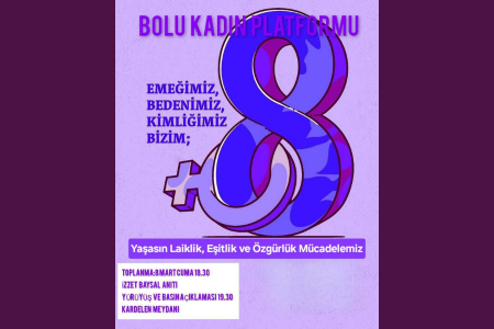 Kadınlar Bolu'da 8 Mart'ta sokakta olacak