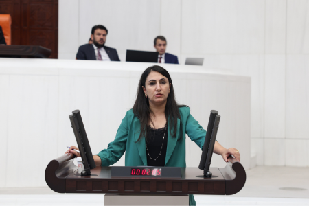 DEM Partili Oduncu 81 il için Aile Bakanına sordu: 'Kadınlar için ne yaptınız?'