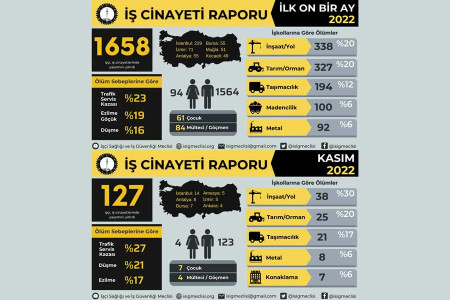 11 ayda 94 kadın iş cinayetinde yaşamını yitirdi