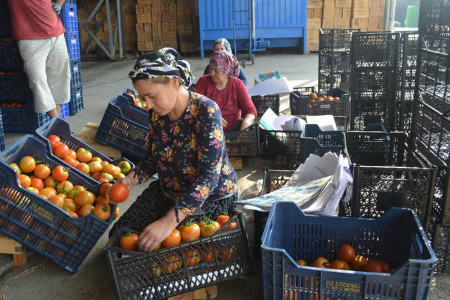 Hal işçisi kadınların hali perişan