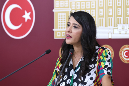 EMEP Milletvekili Karaca: ‘Emekçi aileler yalanlarınıza doydu’