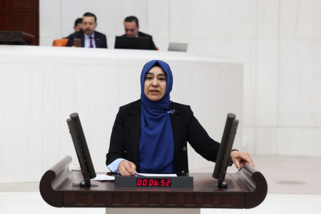DEM Parti'den kadın sığınmaevlerine dair soru önergesi