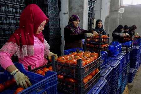 Son yedi yılda en az 817 kadın işçi iş cinayetlerinde yaşamını yitirdi