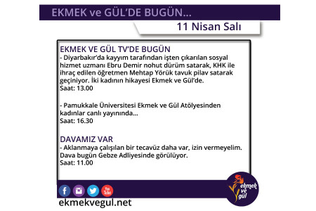 Ekmek ve Gül'de bugün