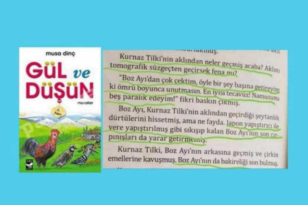 Çocuk kitabında tecavüzü meşrulaştıran ifadeler yer aldı