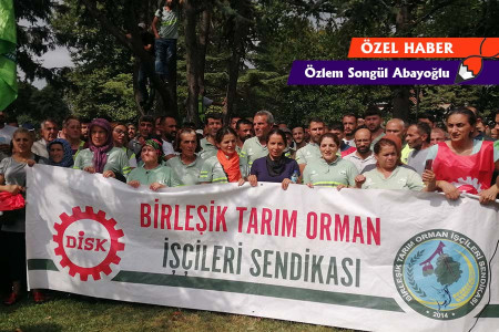 İş bırakan Ağaç AŞ işçisi kadınlar:‘Burada kalabalığız, emeğimizin karşılığını istiyoruz’