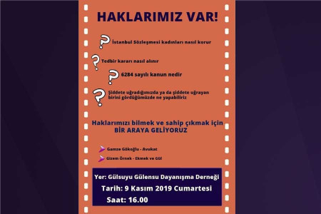 Gülsuyu Gülensu Kadın Dayanışma Derneğinden 25 Kasım etkinliği: ‘Haklarımız Var’