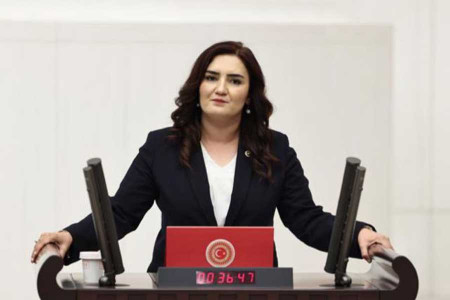 CHP'li Sevda Erdan Kılıç: Asılsız iddialarla nafaka hakkı gasbedilemez