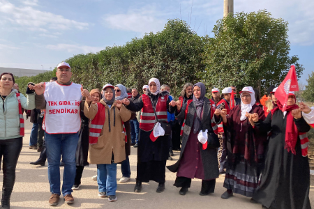 T.T.L. Tütün işçileri greve çıktı