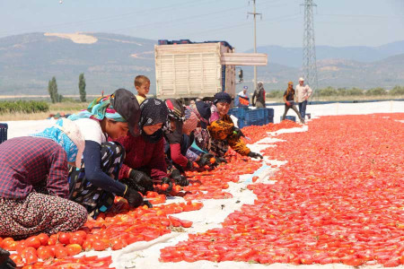 İstihdam Kalkanı Paketi: Kadınların emeklilik hakkını tümden gasbetme planı