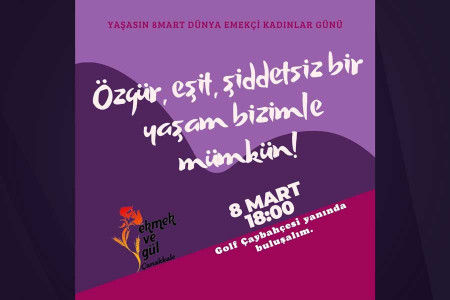 Çanakkaleli kadınlar 8 Mart’ta sokakta