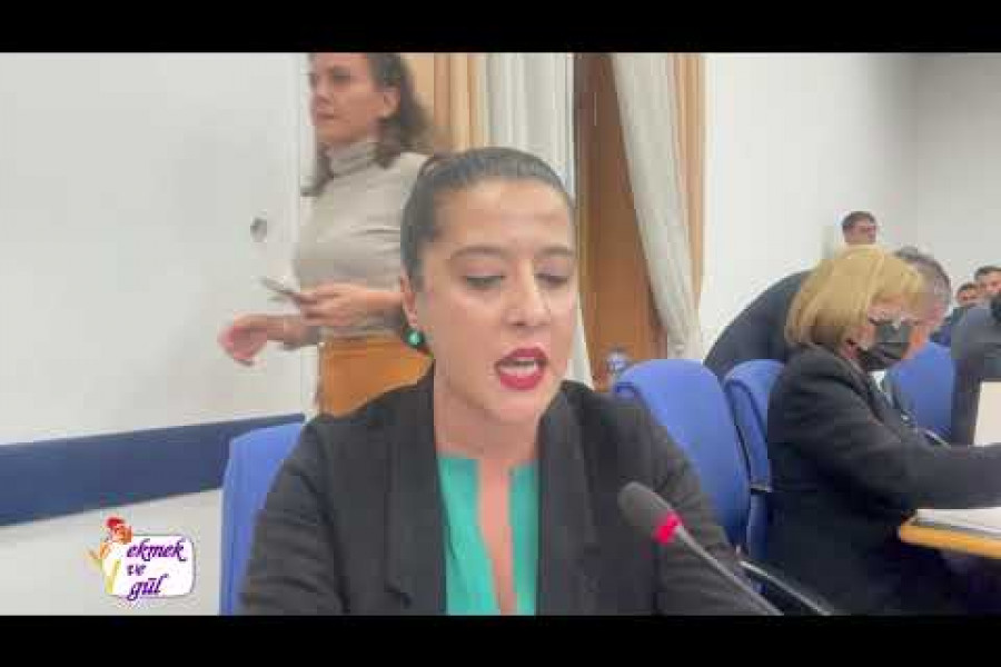 Sevda Karaca MEB bütçe görüşmesinde konuştu: 'Yusuf Tekin sermayenin milli eğitim kayyımıdır'