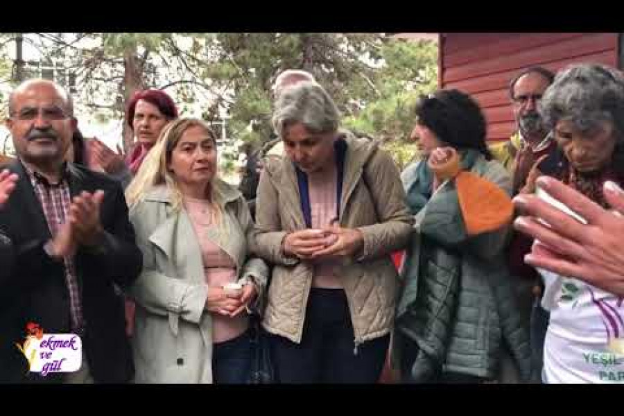 Selma Gürkan’ın bir günü: Yeşil Sol Ankara’da iki vekil çıkaracak mı?