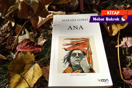 Bir kitap: Ana