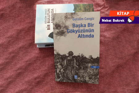 BİR KİTAP: Başka Bir Gökyüzünün Altında