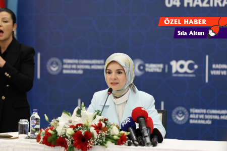 Aile Bakanı konuştu | Tek vaka fazlaysa 40 vakaya ne diyeceksiniz?