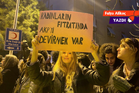 6284 ve AK Partinin Kadın Politikasının Mimarisi