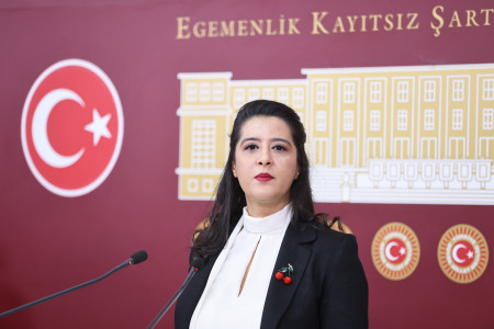 Sevda Karaca Esenyalı’nın şiddet ve yoksulluk yüzünü sordu: Kadınların şiddete sıkışmasını ‘aile yılı’ düzeltecek mi?