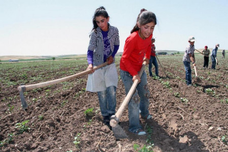 GÜNÜN DİKKATİ: En yoksul ailelerdeki 3 kız çocuğundan biri hiç okula gitmedi