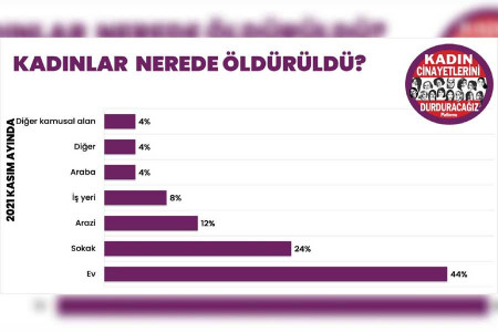 Kasım ayında 25 kadın cinayeti yaşandı