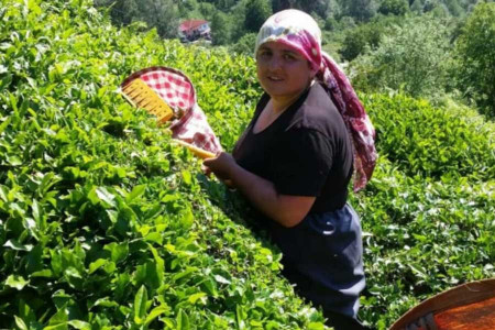 İstanbul’dan Artvin’e bir hayatta kalma mücadelesi…