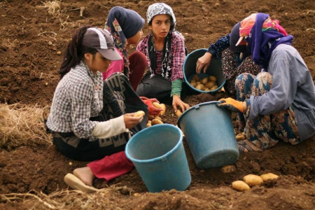 Yoksulluğun ve savaşın yükü çocuk işçilerin omzunda