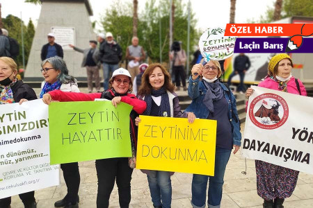 Madenin talan ettiği doğa, emek ve kadınların hayatı