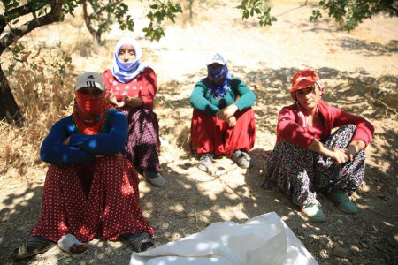 Tarım işçisi kadınlar: Erkeklerle aynı işi yapıyoruz ama ücretimiz daha az