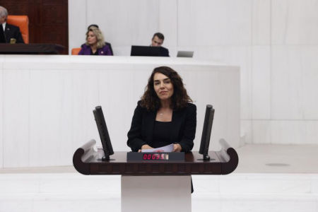 Adalet Kaya, kadınlara şantaj yapan çeteyi Meclis gündemine taşıdı