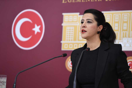 EMEP Milletvekili Sevda Karaca, Özak direnişini Meclise taşıdı: Türkiye bir patron devletidir