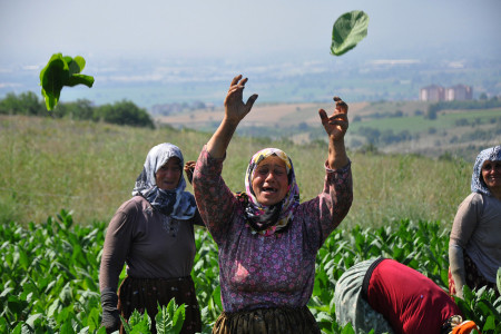 Tarımda çalışan kadınların yüzde 90’ı kayıt dışı